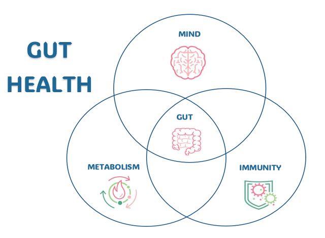 Gut Health
